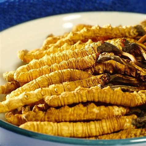 Buy Cordyceps Sinensis 100% Dong Chong Xia Cao Wild Whole Himalayan ...