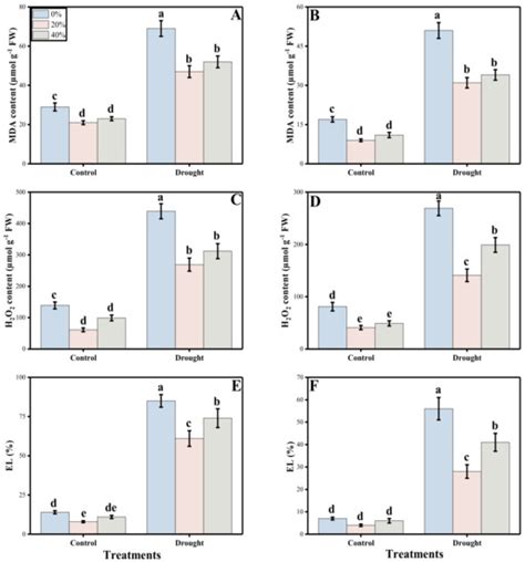 Deciphering Plantago ovata Forsk Leaf Extract Mediated Distinct ...