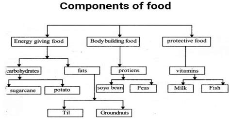 10th class English model paper - 12 (covering all the syllabus ...