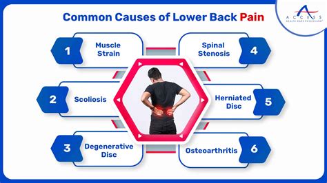 Image result for Common Lower Back Muscle Pain