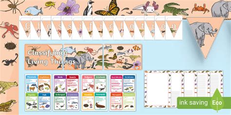 Image result for Classification Display KS2