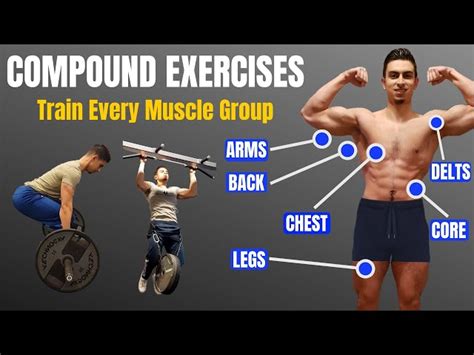 Image result for Compound Exercises for Beginners