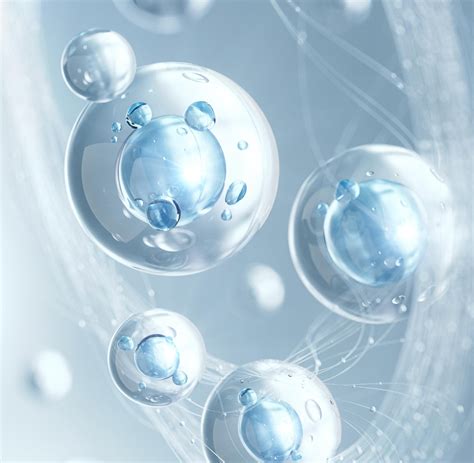 Understanding the 12 Hallmarks of Aging: A Scientific Guide to Healthy Longevity - Humansa