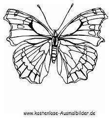 schmetterlinge malvorlagen zum ausdrucken ausmalbilder schmetterling 10 tiere zum ausmalen schmetterlinge malvorlagen zum ausdrucken ausmalbilder schmetterling 10 tiere zum ausmalen