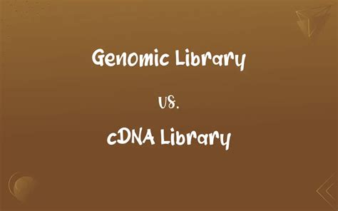 cDNA Library Definition 的图像结果