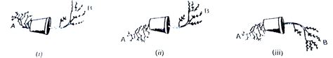 A potted plant is kept horizontally for a considerable time. The three ...