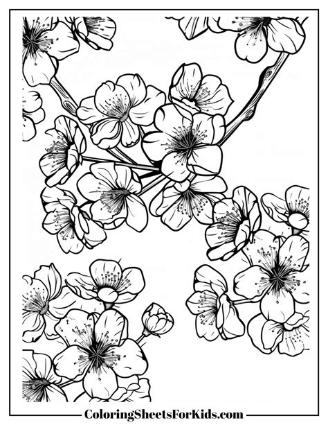 Cherry Blossom Color