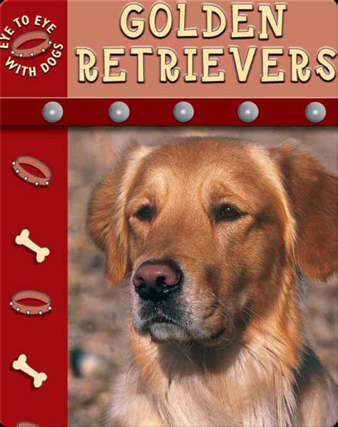 Eye To Eye With Dogs: Golden Retrievers Book by Lynn Stone | Epic