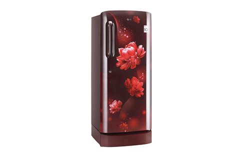 224L 4-Star Single Door Refrigerator - GL-D241ASCY | LG IN