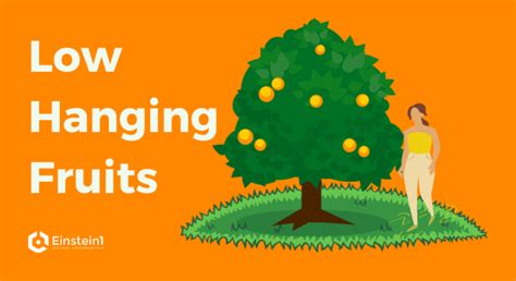 Low Hanging Fruits: kleine Tasks - große Wirkung | Einstein1