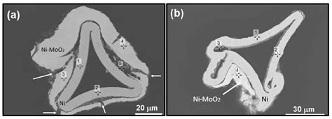 Ni-MoO2 Composite Coatings Electrodeposited at Porous Ni Substrate as ...