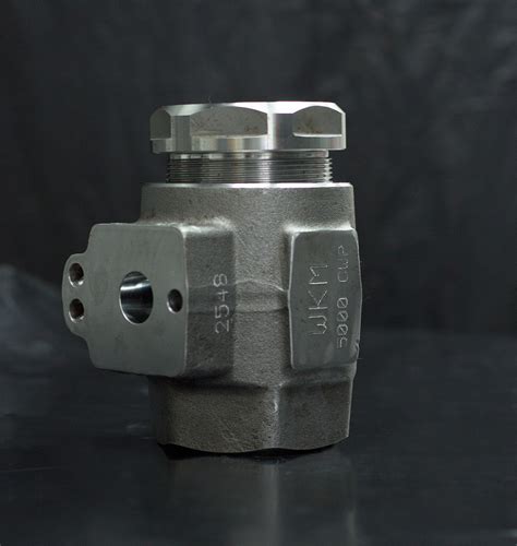 Image result for Python Package TMS Simulation