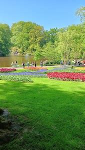 Top 15 things to do in Hillegom (Updated Mar 2025)