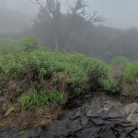 CHARMADI GHAT - All You Need to Know BEFORE You Go 2026 (with Photos ...