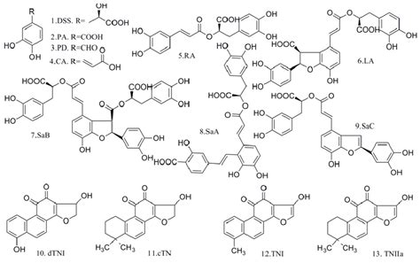 Post-Harvest Induced Production of Salvianolic Acids and Significant ...