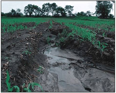 Soil Erosion – Piedmont Master Gardeners