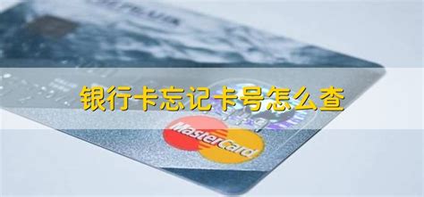 银行卡密码忘了怎么办(中国银行卡密码忘记了怎么办) - 洋葱SEO