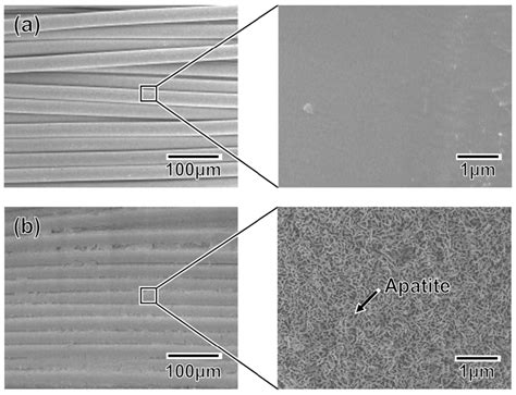 IJMS | September 2013 - Browse Articles