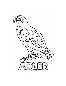 kinder malvorlagen adler ausmalbilder adler ausmalbilder kinder malvorlagen adler ausmalbilder adler ausmalbilder