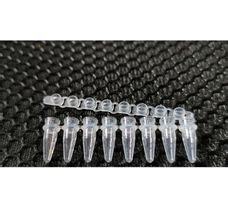 Buy TAURUSDISPO PCR Strips, 0.2ml x 8tubes, thin walled, optical clear ...