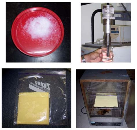 Functional Nanocomposites in the Development of Flexible Armor