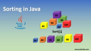 Sorting Arrays in Java Using for Loops 的图像结果
