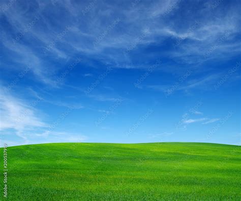 Image result for Python Sky Field