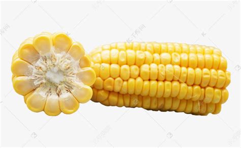 黄色食材玉米素材图片免费下载-千库网