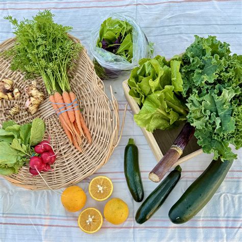 Farm Fresh Organics 的图像结果