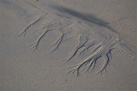 Image result for Crash Course Drainage Patterns Water