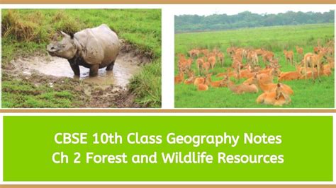 CBSE Class 10 Social Science (Geography) Chapter 2 Forest and Wildlife ...