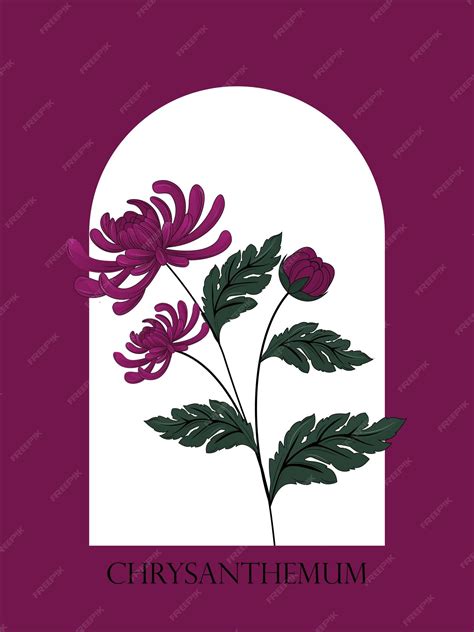 Premium Vector | Flower cards with signature chrysanthemum