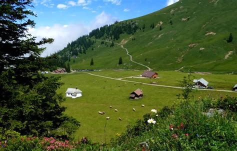 Wallpaper city, town, farm for mobile and desktop, section пейзажи ...