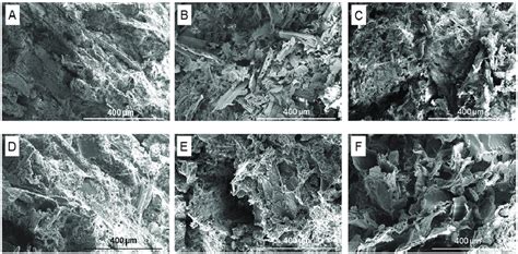 Image result for Sem Structure