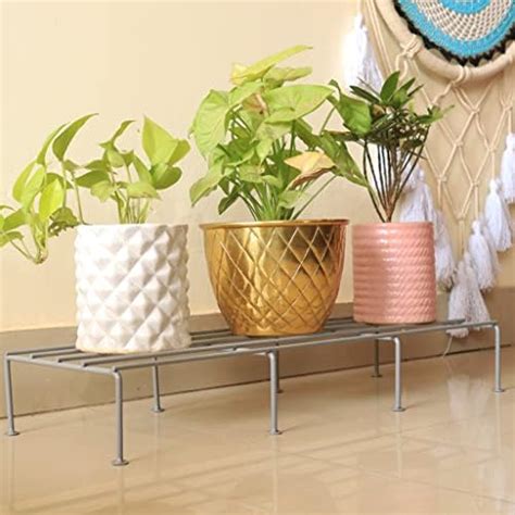 TrustBasket Indigo Anti Rust Metal Plant Stand for balcony (Set of 1 ...