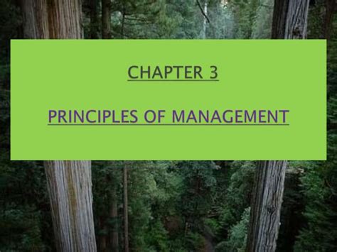 Image result for Principles of Management Explained