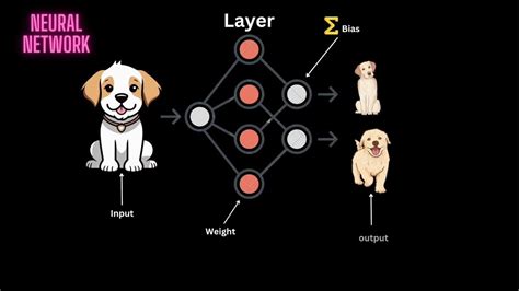 Image result for YouTube Python Neural Network