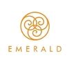 Emerald Jewel Industry India Limited - 2026 Insights