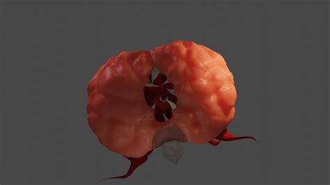 Brain of cthulhu terraria boss with phases 3D model | CGTrader