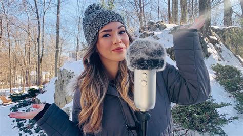 Image result for Snow Window ASMR