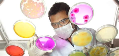 Empleos Elite Flower - elempleo.com