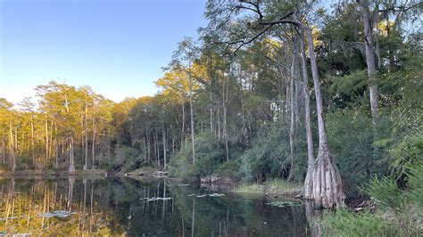 Pitt and Sylvan Springs Recreation Area – Florida Hikes