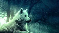 Aesthetic Wallpaper Wolf by 2048x1152 Wallpapers Wolves Wolf Wallpapers Pro Aesthetic Wallpaper Wolf