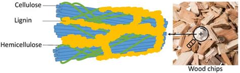 A Review on the Modeling, Control and Diagnostics of Continuous Pulp ...