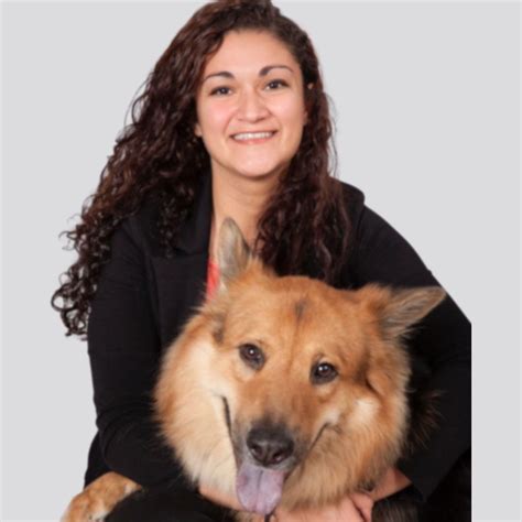 Urgent Care Vet Rockwall | Rockwall Urgent Vet