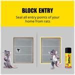 Buy Bitter Powerful Protection From Rats Spray - Camphor Fragrance, Non ...