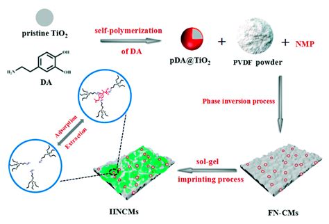 Recent Advances in Molecularly Imprinted Membranes for Sample Treatment ...