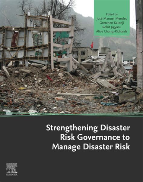 Buy Strengthening Disaster Risk Governance to Manage Disaster Risk Book ...