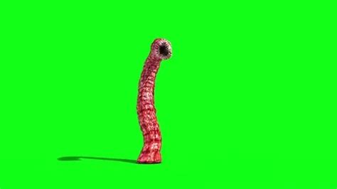 Image result for Alien Worm Attack