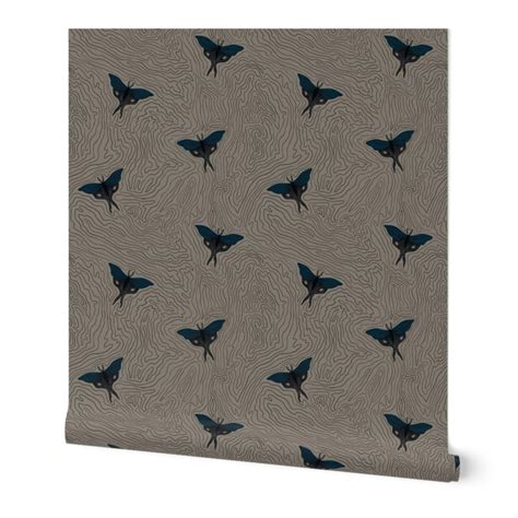 small - mystical luna moths - dark taupe Wallpaper | Spoonflower